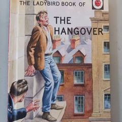 The Ladybook of The Hangover