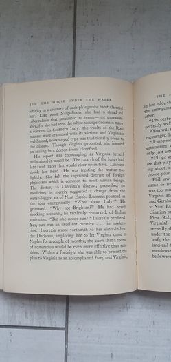 Vintage Book: The House Under the Water by Francis Brett Young 1932