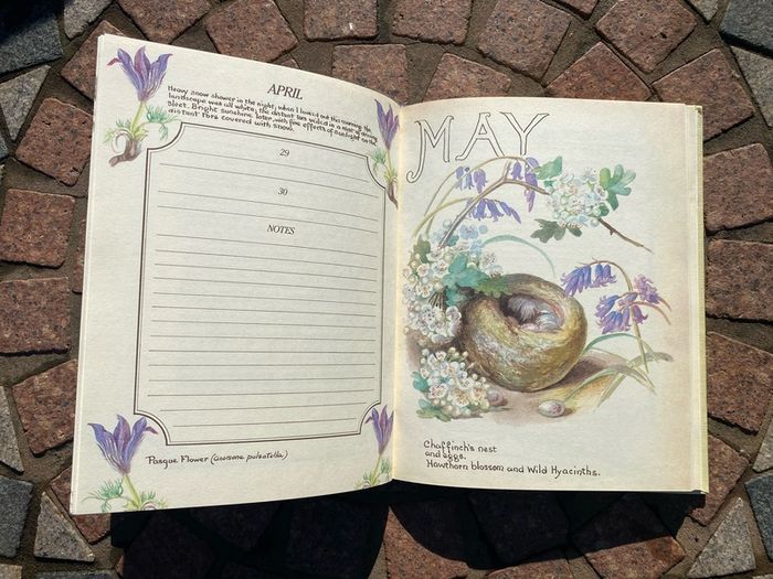 Country Diary Garden Notes