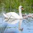 SallyNoona