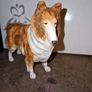 Royal Doulton Rough Collie Dog Image 3