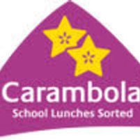 The Carambola Ltd Jobs in Ireland