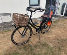 BSP La Scala Dutch mother Bike