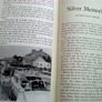 Silver River a celebration of 25 years of the Shannon Boat Rally Image 3