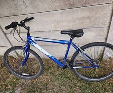 Boys bike