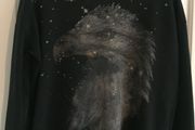Zara sweater - eagle with stars