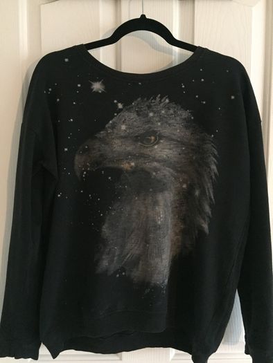 Zara sweater - eagle with stars