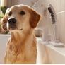 Hansgrohe Dog Shower Image 2
