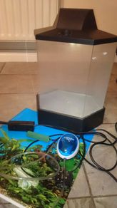 Aquarium Fish tank small with equipment included