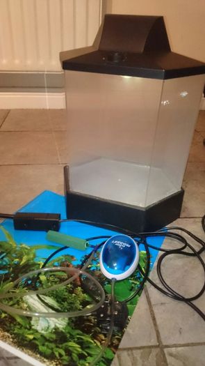 Aquarium Fish tank small with equipment included