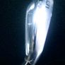 Mizuno JPX 921 Forged 5 Iron Brand New Image 4