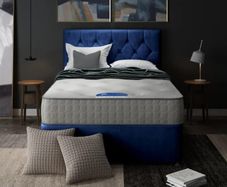 New Beds