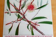 TCD Botanical Society poster