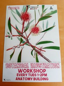 TCD Botanical Society poster