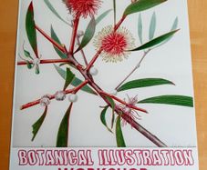 TCD Botanical Society poster