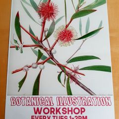 TCD Botanical Society poster
