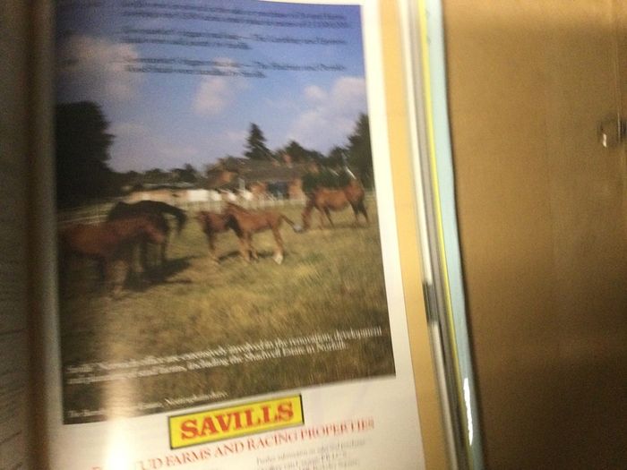 Horse Racing, Dictionary of the Turf. ( Reduced)