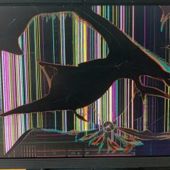 Lenovo IdeaCentre A340 All in One - broken screen