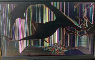 Lenovo IdeaCentre A340 All in One - broken screen