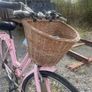 Bike Image 5