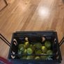tennis ball basket Image 2