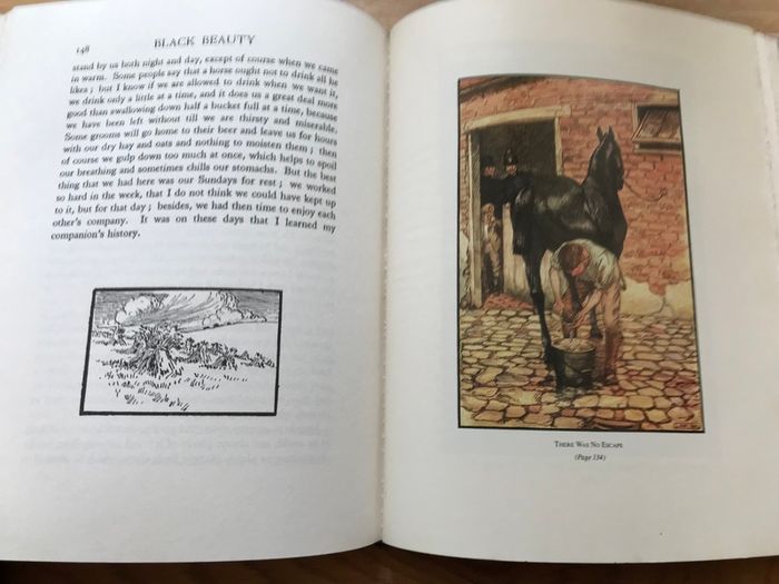 New Black Beauty Book