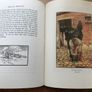 New Black Beauty Book Image 4