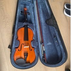 violin