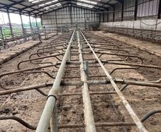 Concrete precast cubicle beds