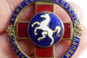 Vintage Pembury Hospital Enamel Badge White Horse of Kent