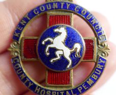 Vintage Pembury Hospital Enamel Badge White Horse of Kent