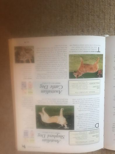 The Encyclopedia Of Dog Breeds