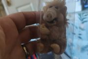 Alf