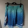 charlotte hornets basketball shorts Image 3
