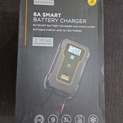 Advanced 6A smart charger