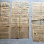 The Menace - vintage anti-Catholic US newspaper, 19 issues - 1916-1919 Image 4