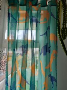 Dinosaurs curtains