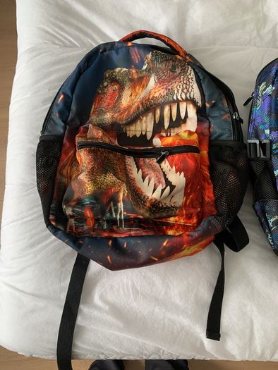 T rex school bag