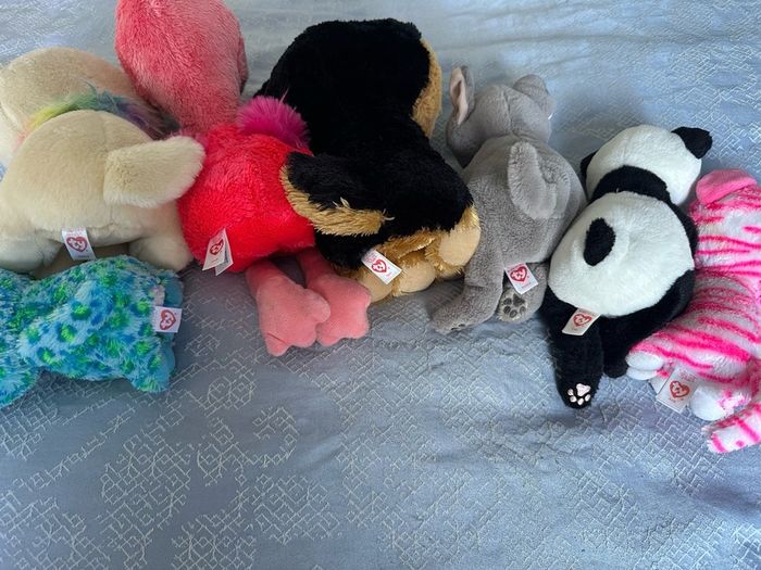 TY Teddies
