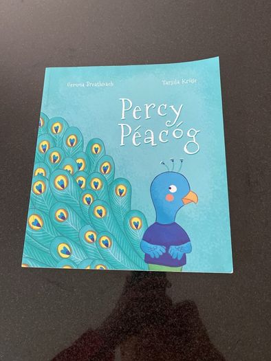 Irish language children's book