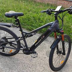Electric mountain bike