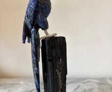 Large Hand-Carved Blue Sodalite Macaw