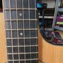 Taylor 214ce Plus. Image 9