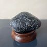 Natural Fossilized Coral Pebble Image 2