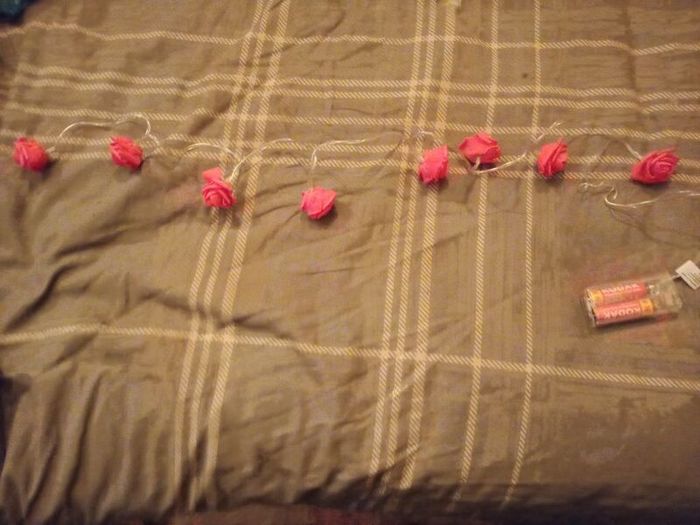 Red Rose & Pink String Lights