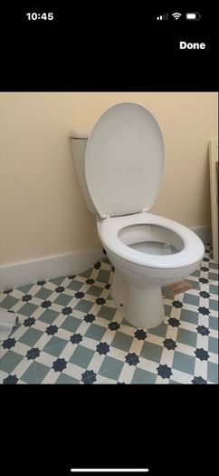 toilet push button