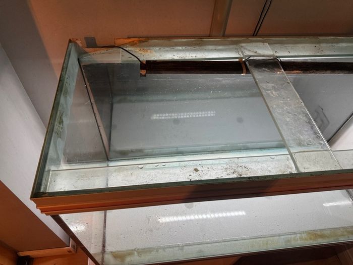 Free fish tank