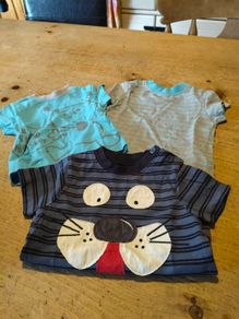 Baby boys Cherokee T. Shirts.