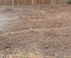 Free Soil