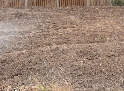 Free Soil